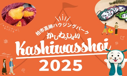 かしわっしょい