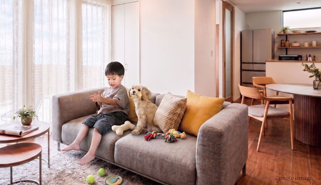 明るいリビングのソファに並んで座る男の子と愛犬
