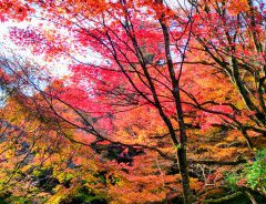 寒くなってきました。