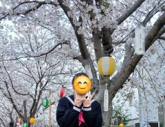 桜、満開です！