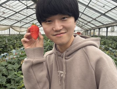いちご狩り