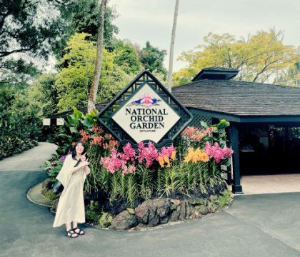 KD'STYLE山川の美術深訪⑰ national gallery singapore