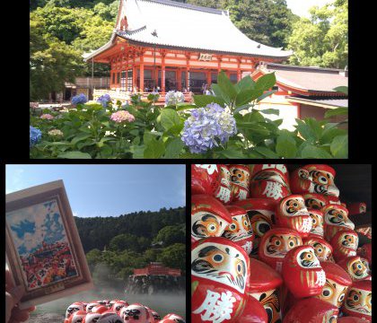 勝尾寺から長居植物園へ、アジサイを巡る旅