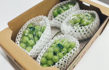 秋の味覚をいただきました