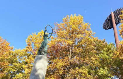 貴重な秋晴れ🍂🐿️