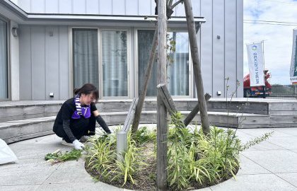 初夏の除草・清掃活動を行いました🍃